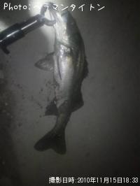 �����Х�