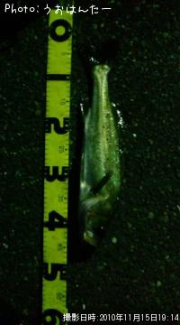 �����Х�