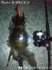 �����ꥤ��