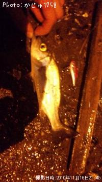 �����Х�