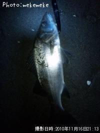 �ҥ饹����