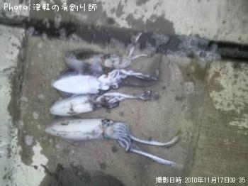 �����ꥤ��