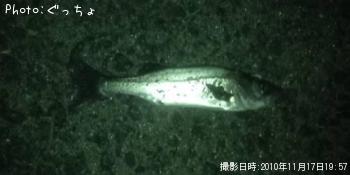 �����Х�