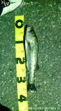 �����Х�