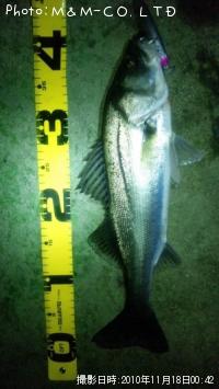 �����Х�