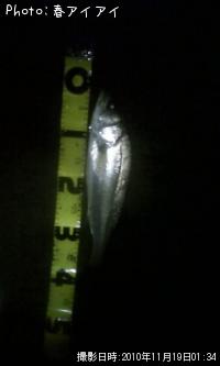 �����Х�