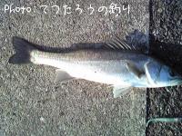 �����Х�