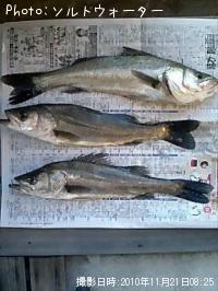 �����Х�