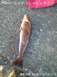 �����ʤ�