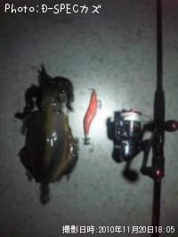 ¥¢¥ª¥ê¥¤¥«