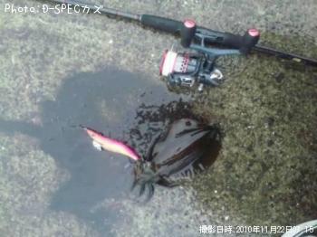 �����ꥤ��