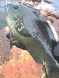 �����᥸��