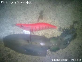 ¥¢¥ª¥ê¥¤¥«
