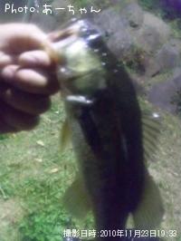 �֥�å��Х�