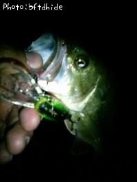 ¥Ö¥é¥Ã¥¯¥Ð¥¹