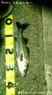 �����Х�