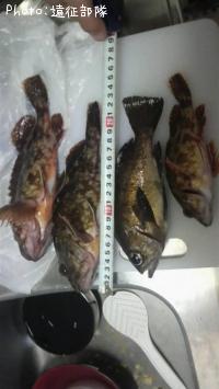 ¥á¥Ð¥ë¡õ¥«¥µ¥´