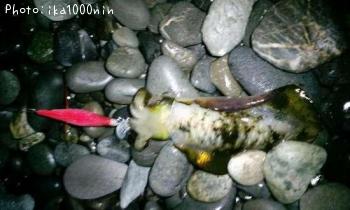 �����ꥤ��