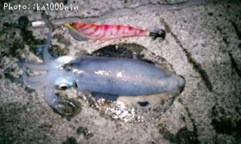 �����ꥤ��