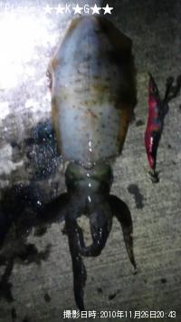 ¥¢¥ª¥ê¥¤¥«