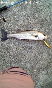 �����Х�