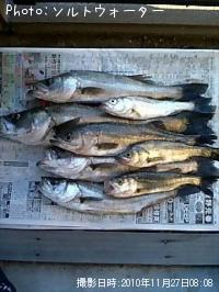 �����Х�