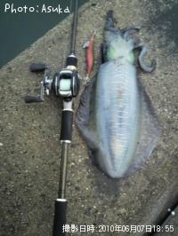 �����ꥤ��