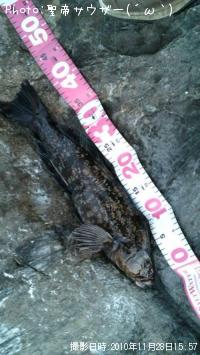 �����ʥ�