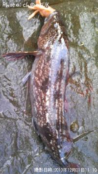 �����ʥ�