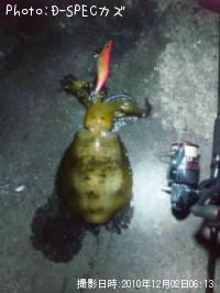 �����ꥤ��