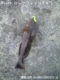 �����ʤ�