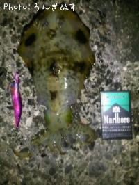 �����ꥤ��