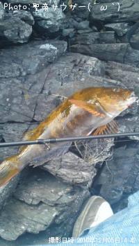 �����ʥ�