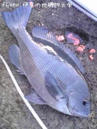 �����᥸��