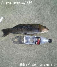 �����ʥ�