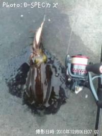 ¥¢¥ª¥ê¥¤¥«