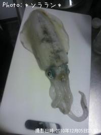 �����ꥤ��