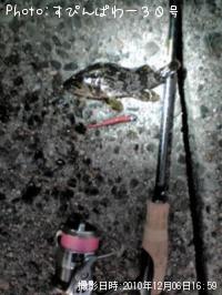 �����Υ���Х�