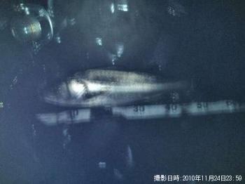 �����Х�