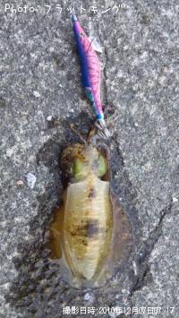 ¥¢¥ª¥ê¥¤¥«