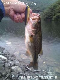 ¥Ö¥é¥Ã¥¯¥Ð¥¹