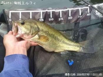 �֥�å��Х�