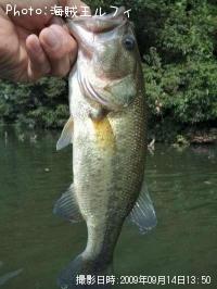 �֥�å��Х�