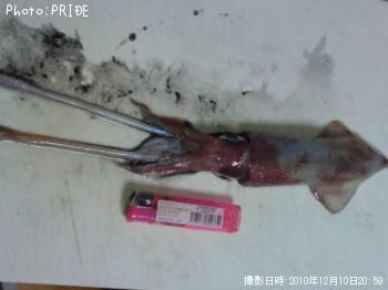 �Υ���������