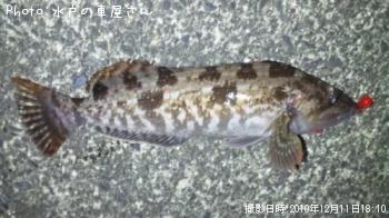 �����ʥ�