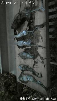 ��������ã