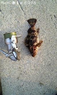 ¥¢¥Ö¥é¥á¡Ê¥¢¥¤¥Ê¥á¡Ë