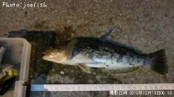 �����ʥ�