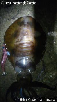 �����ꥤ��