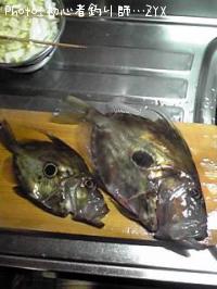 �ޥȥ�����